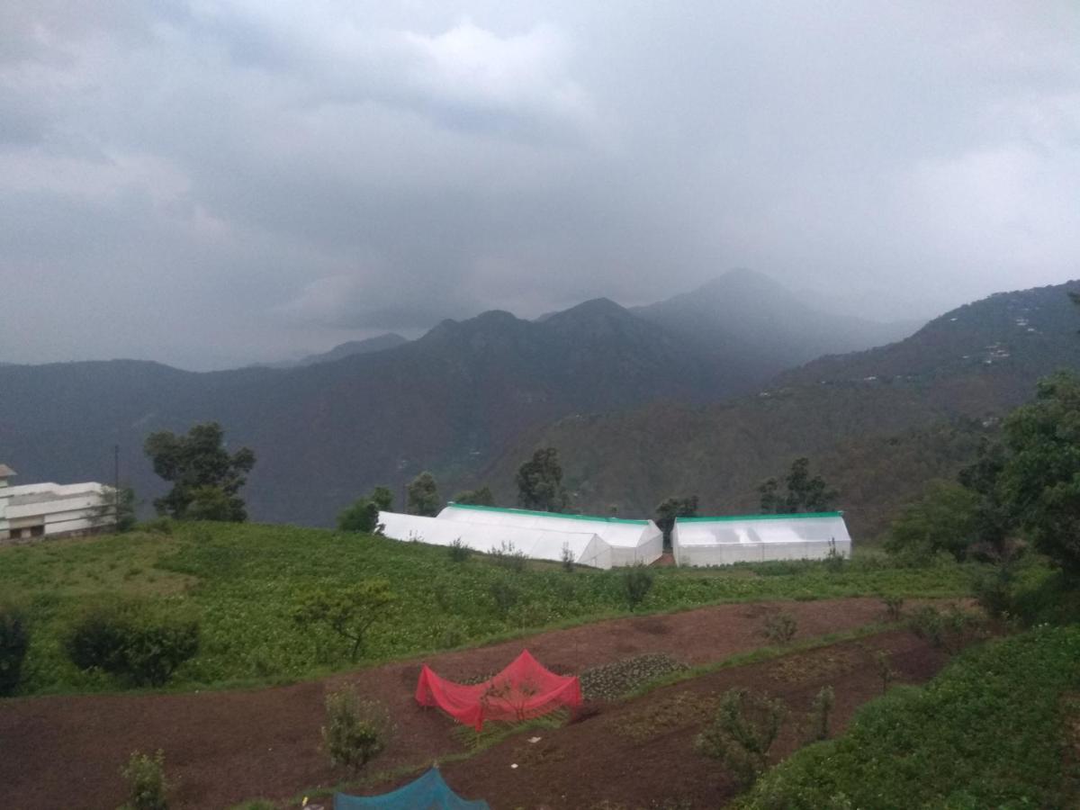 Green View Resort New Tehri Экстерьер фото