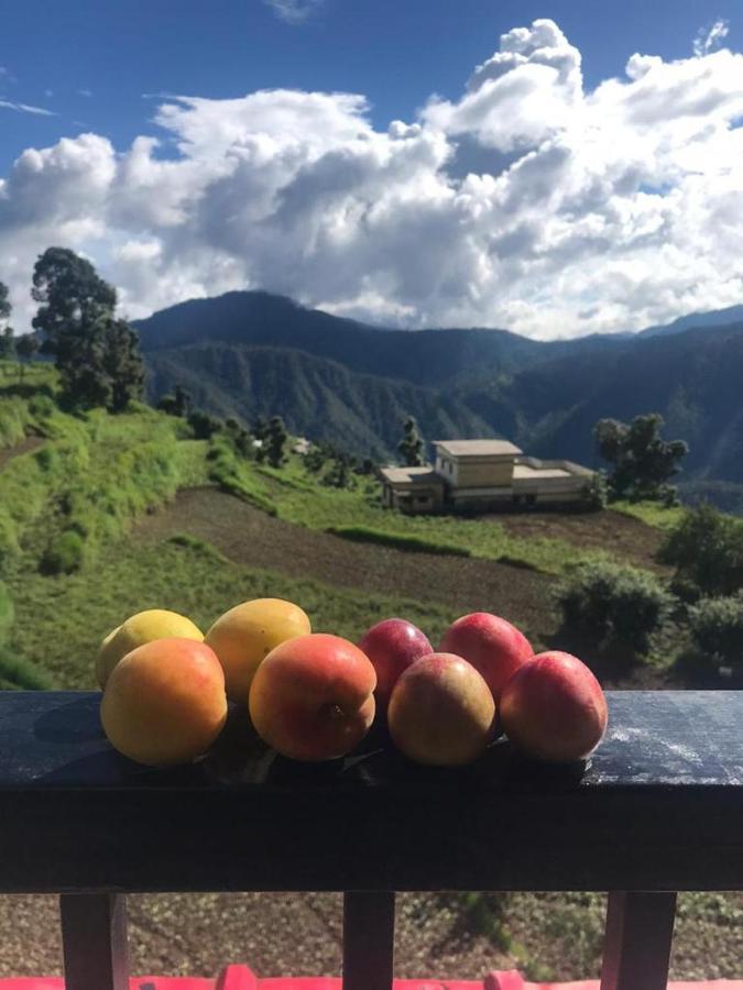 Green View Resort New Tehri Экстерьер фото